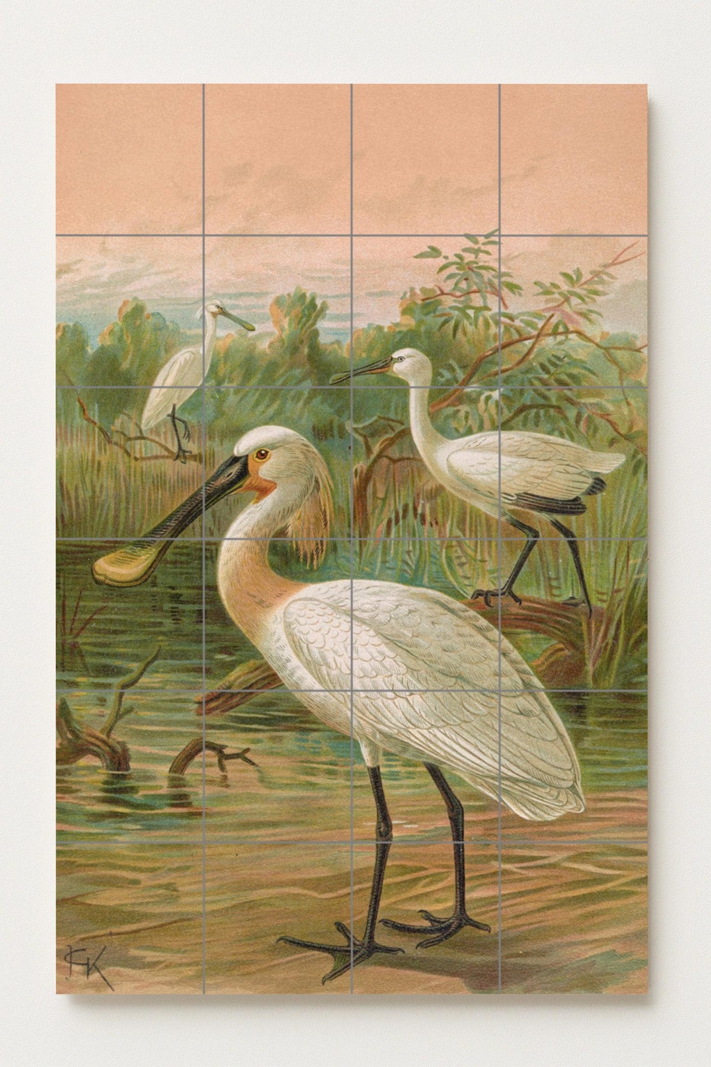 Fresque en Carrelage Espátulas au Lever du Soleil — Paysage Botanique