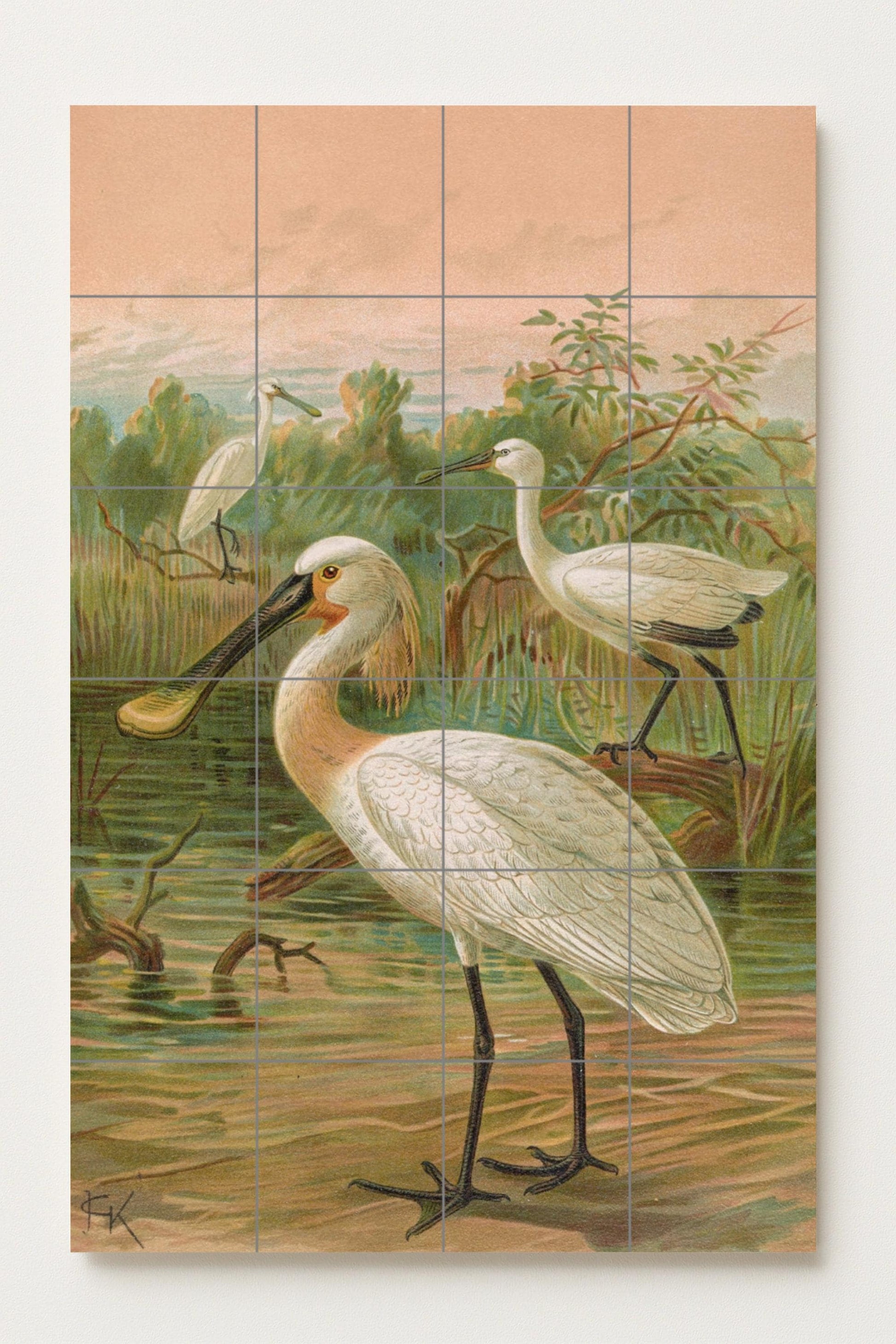 Fresque en Carrelage Espátulas au Lever du Soleil — Paysage Botanique