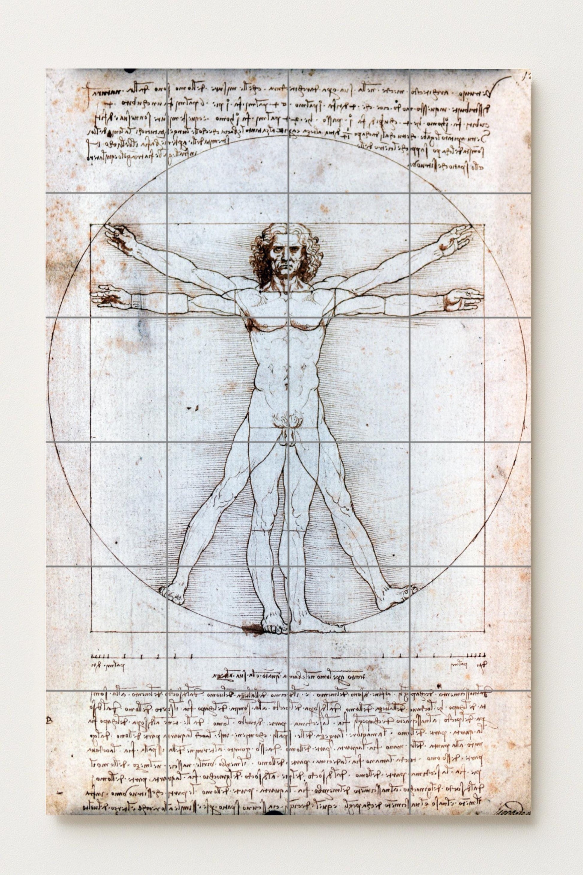 Mural de cerámica del Hombre de Vitruvio