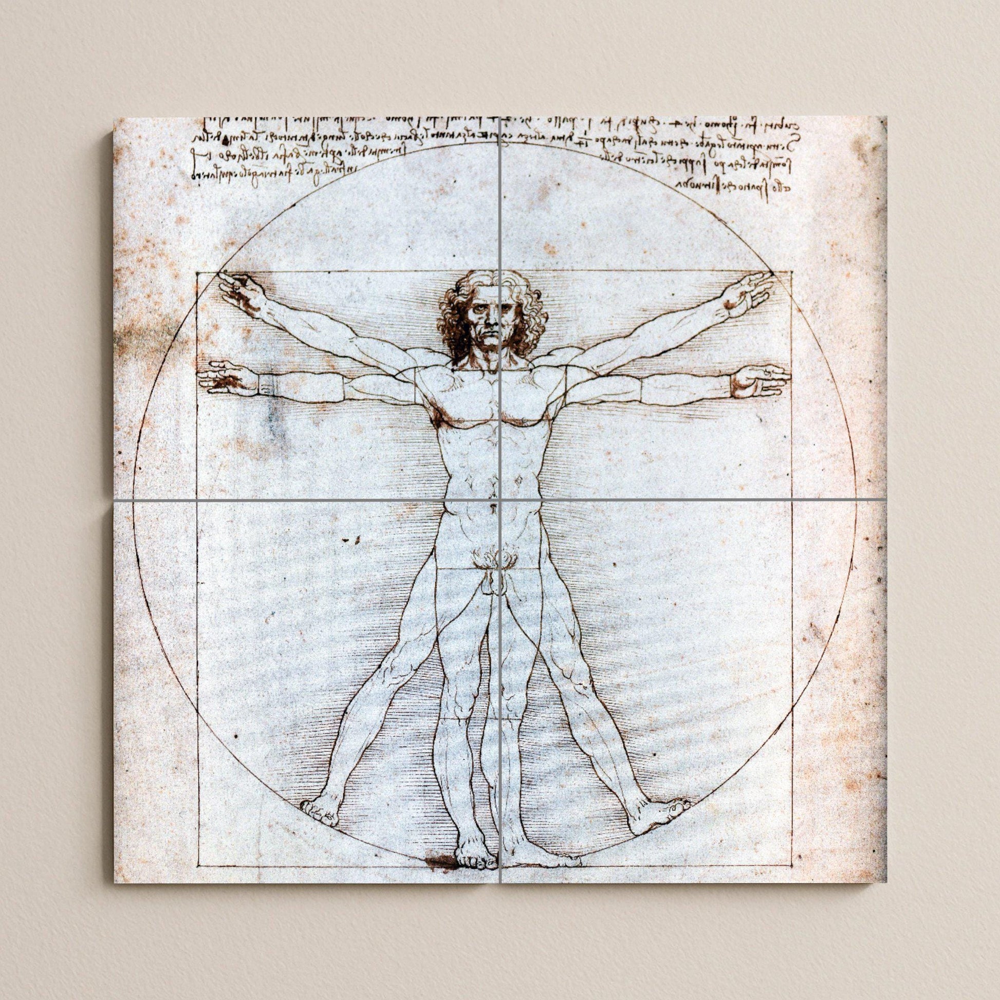 Homme de Vitruvio de Léonard de Vinci — Panneau Mural Ornemental, Art Mural en Céramique