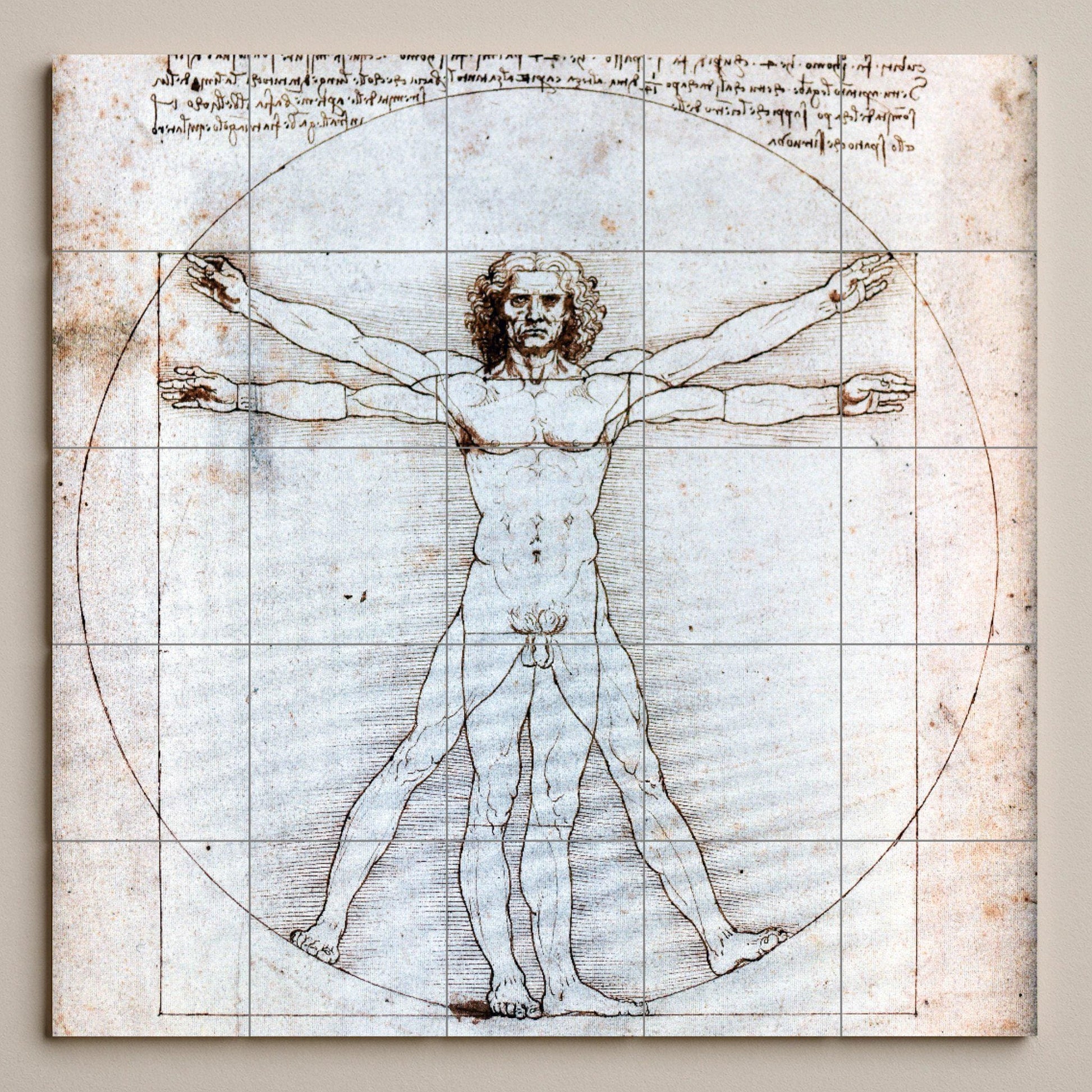 Homme de Vitruvio de Léonard de Vinci — Panneau Mural Ornemental, Art Mural en Céramique